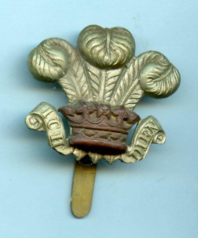 WW1 The Royal Wiltshire Yeomanry Cap Badge